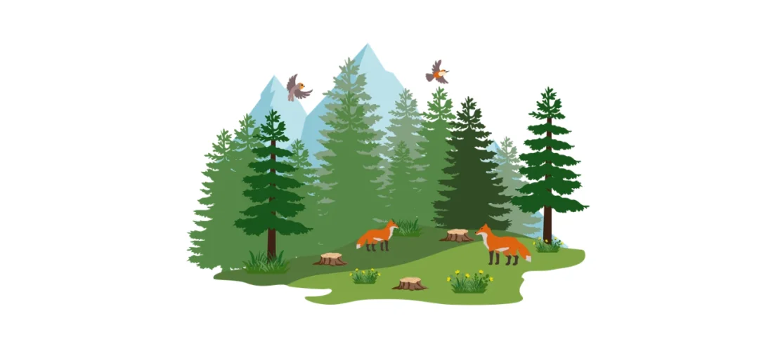 Chinese learning illustration: 4. Common collocations
